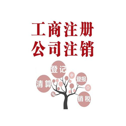 大兴区专办企业简易注销流程 一对一咨询 北京市